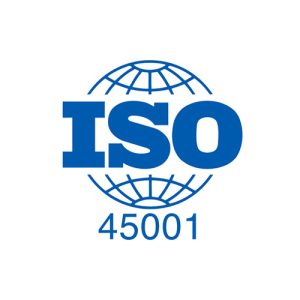 45001|Occupational health and safety management systems